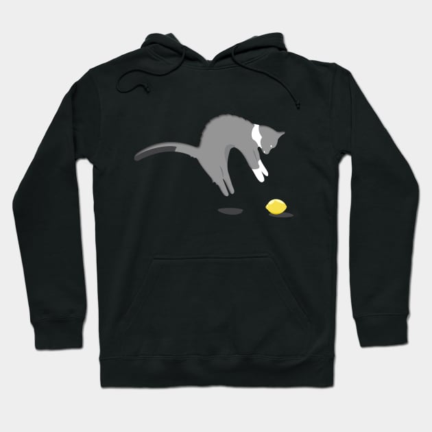 Funny scared cat and lemon Hoodie by mypointink